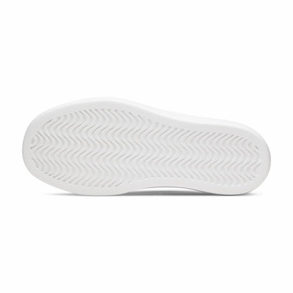 Allbirds Men Canvas Piper