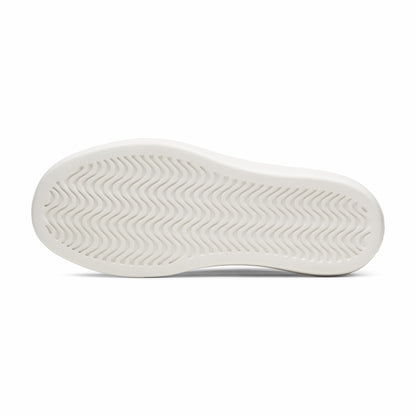 Allbirds Men Canvas Piper
